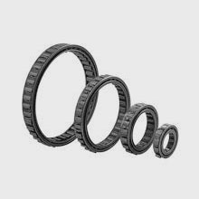 REGP Sprag Cage Assemblies